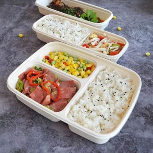 Cornstarch Food Containers Biodegradable Lunch Box