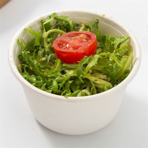 Bol de canne à sucre du monde Salade de bagasse avec bols à soupe couvercle pour animaux de compagnie