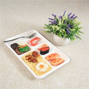 Barquettes en bagasse biodégradables avec couvercles plastique - Caractéristiques
