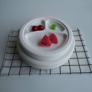 Barquette biodégradable en bagasse 3-5 compartiments pour vente en gros
