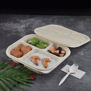 Box Packaging Food For Lunch Kids Leakproof 5 Compartment Boxes
