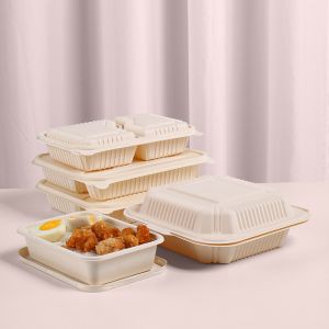 Boîte à lunch en boîte à lunch isotherme Bento Salad Packaging Transparent Food Rou