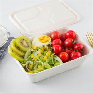 contenants d'emballage Contenant alimentaire biodégradable 3 boîtes à lunch