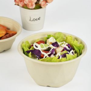 Cheesy Bowls Salade de canne à sucre Bol à soupe biodégradable avec couvercle