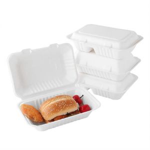 bagasse food box takeaway boxes pricelist