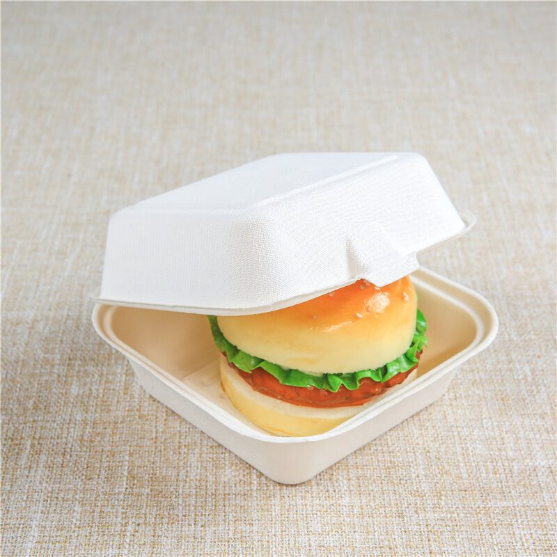 examen du plateau alimentaire de la bagasse à emporter contenant des contenants de liquide