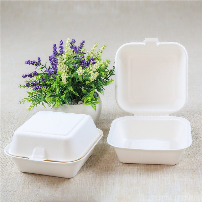 examen du plateau alimentaire de la bagasse à emporter contenant des contenants de liquide