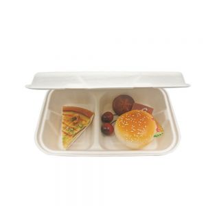 to go boxes eco-phx-hl6 6 bagasses charnière conteneurs 400 cs conteneur bagasse charnière