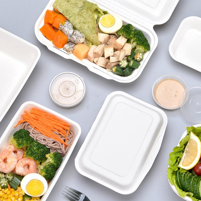 boîtes à emporter éco produits compostables canne à sucre à clapet contenants alimentaires écologiques contenant à emporter de canne à sucre