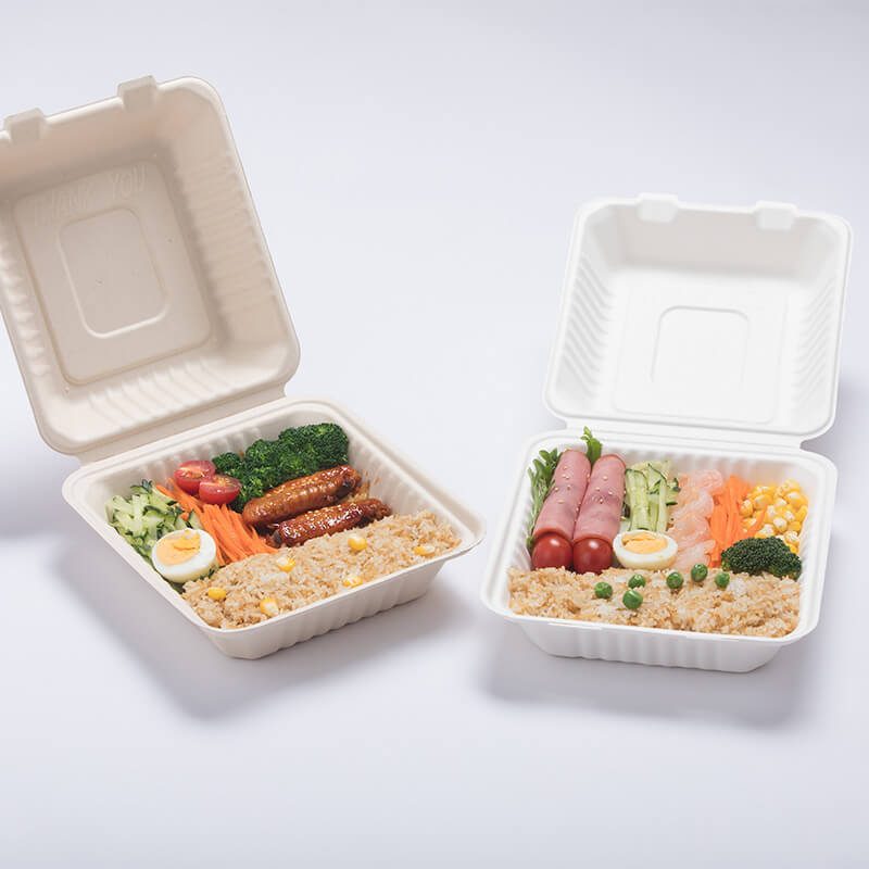 boîtes à emporter éco produits compostables canne à sucre à clapet contenants alimentaires écologiques contenant à emporter de canne à sucre