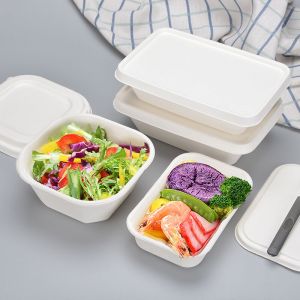transporteur de nourriture aliments chauds emballage boîtes chaudes