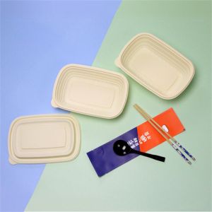 Vaisselle biodégradable à base d’amidon de maïs Chine Prep Meal Containers 5 Compartiment Lunch Box Jetable