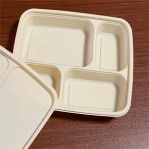 Plateau repas Jetable Biodégradable Chine Prep Conteneurs 3 Compartiments Hotdog Sandwich Boîte d’emballage en plastique