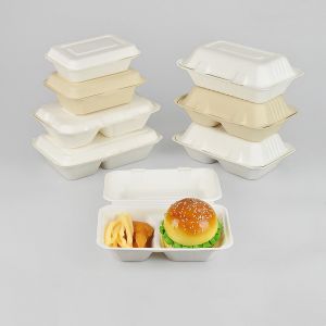 Bagasse Food Container Box Fournisseur de plateaux Fabricants d'emballages