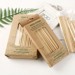 Paille réutilisable en bambou biodégradable pour la vaisselle