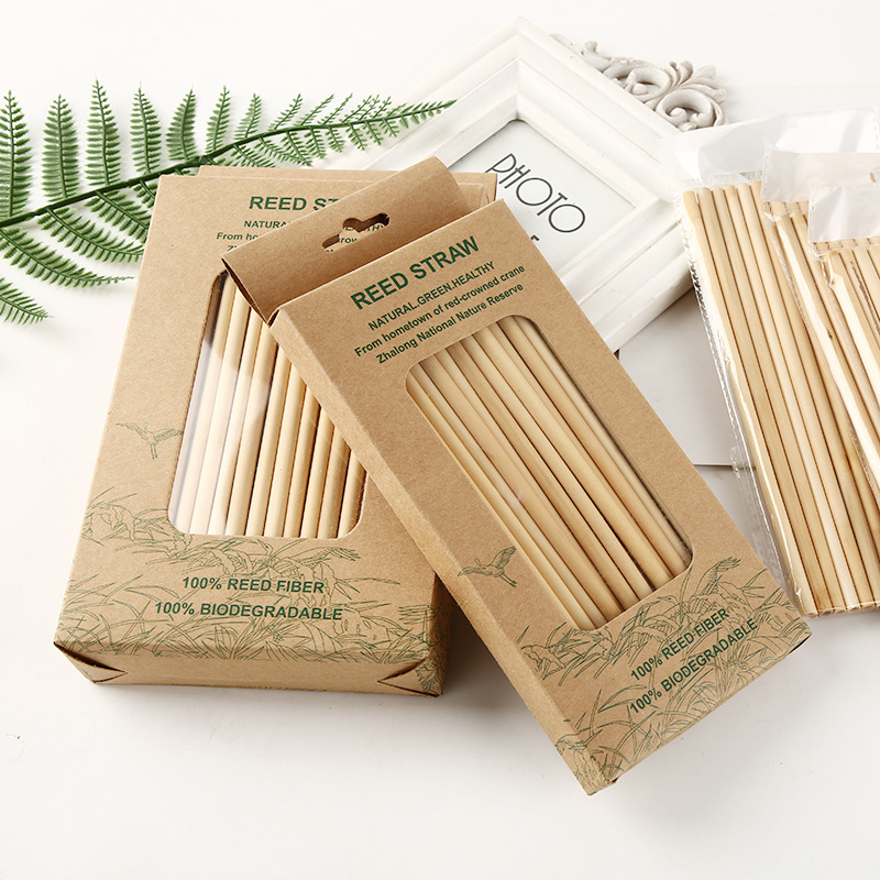 Paille de bambou biodégradable jetable en carton roseau