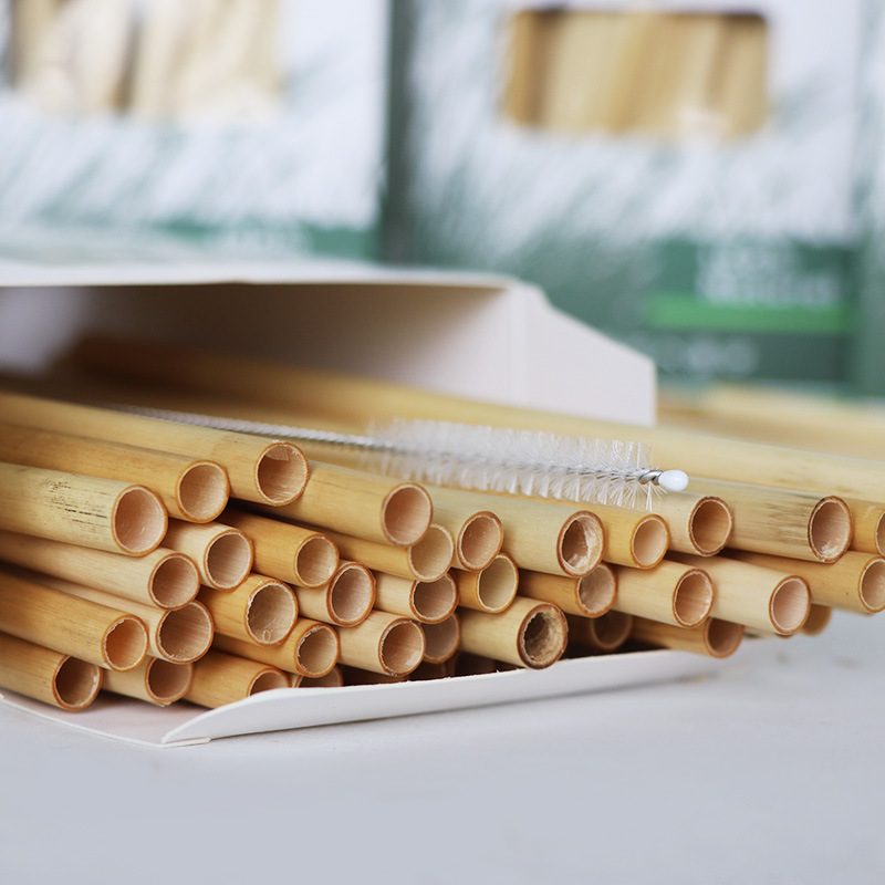 Paille de bambou biodégradable jetable en carton roseau